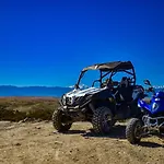 Cameleon Camp