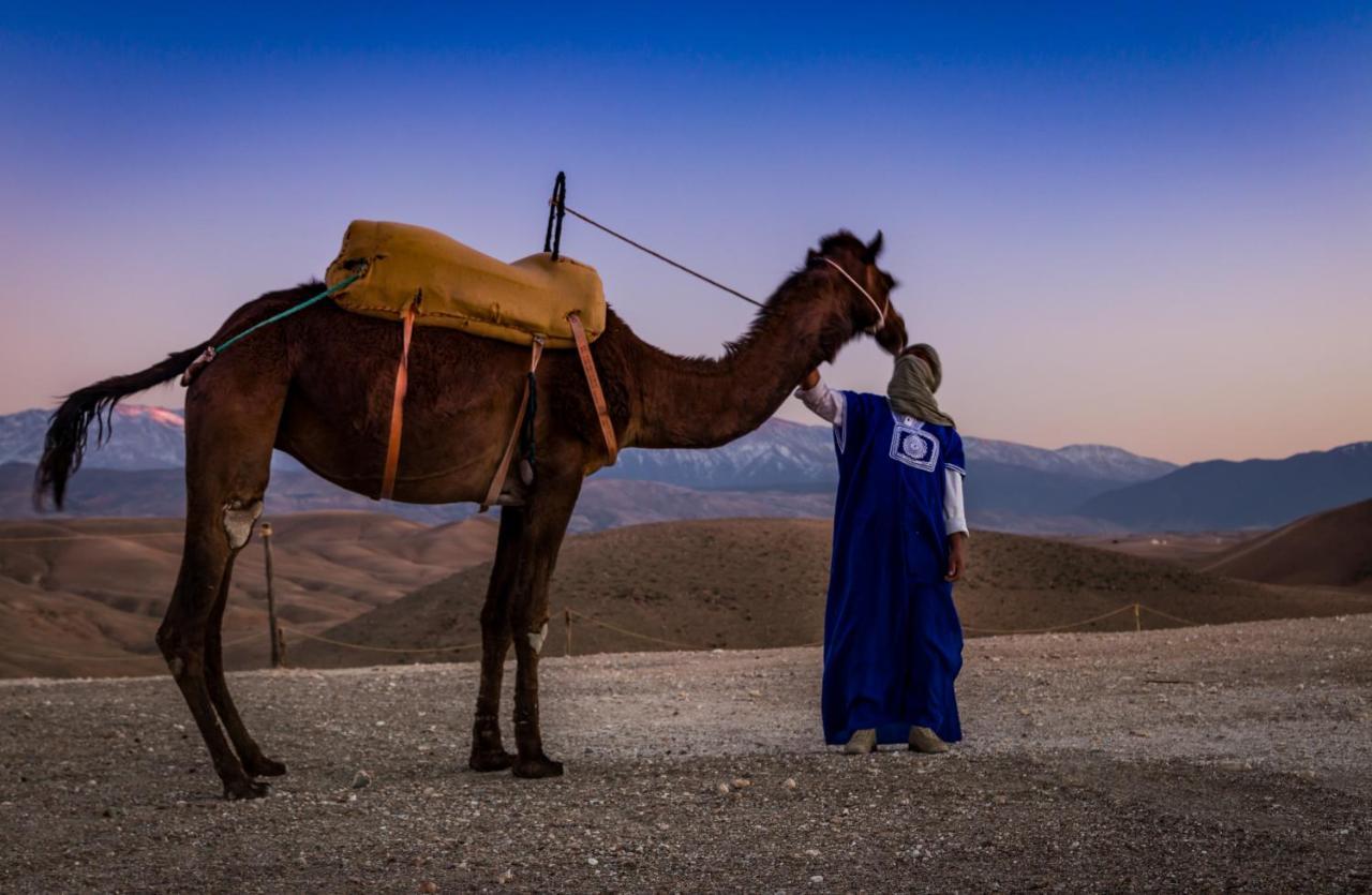 Campo de lujo Camp Cameleon Marrakesh